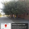 GREEN CAMPUS-17